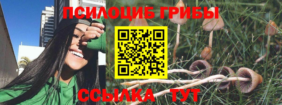 Псилоцибиновые грибы мицелий Химки
